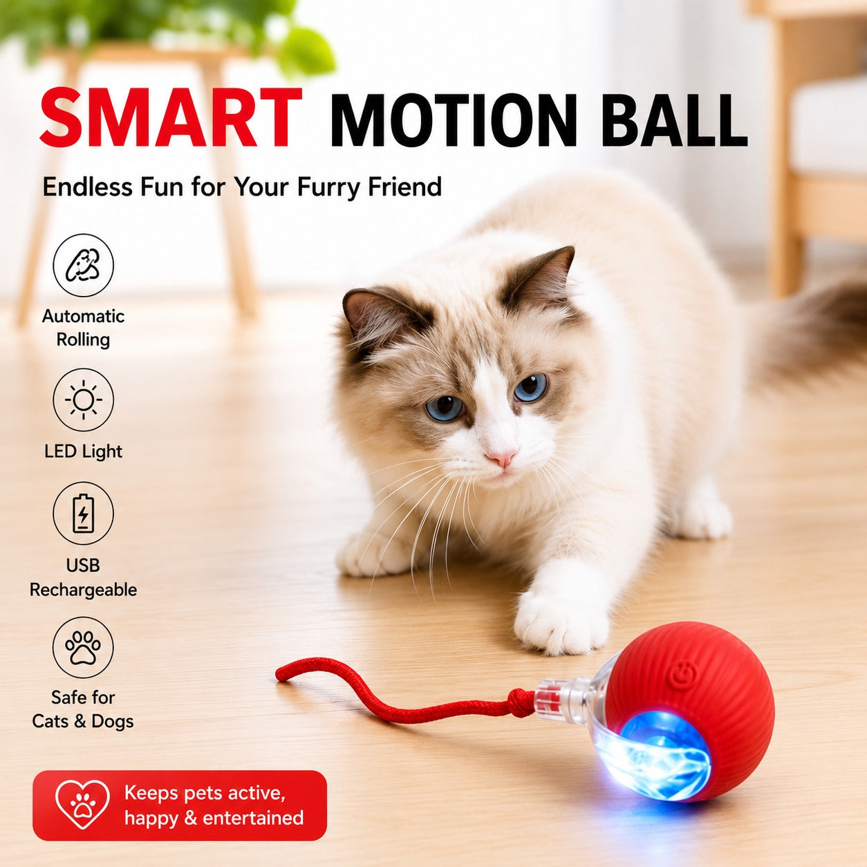 SMART MOTION BALL