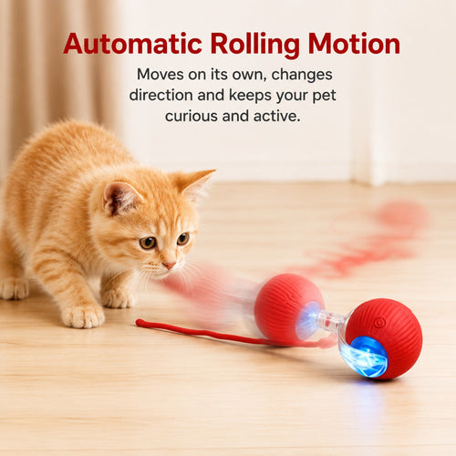 SMART MOTION BALL